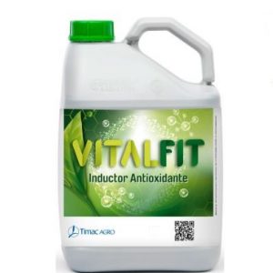 VITALFIT 10 L